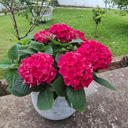 The Blue Vakantiehuis Gaula