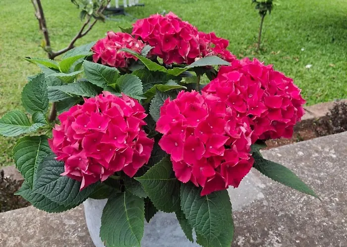 The Blue Casa vacanze Gaula